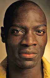 Адевале Акинойе-Агбаже